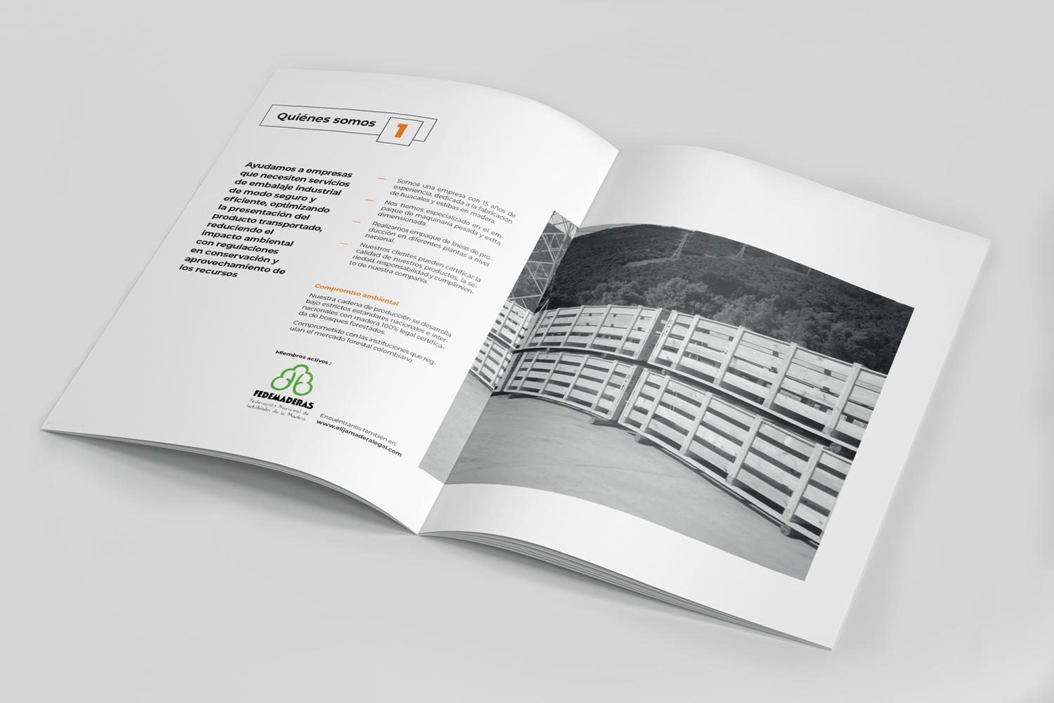 brochure embapack diseño 2